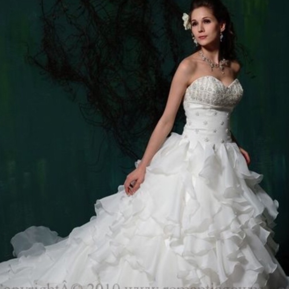 Stunning New Custom Wedding Gown and Long Train